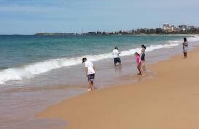 Sea Shells Wollongong. Discount for bookings over a month