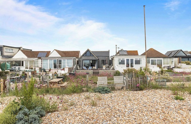 Seashells-Stylish Coastal Living