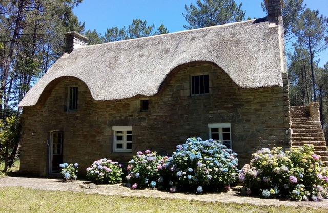 Seasonal rental of a Breton cottage in the heart of the forest