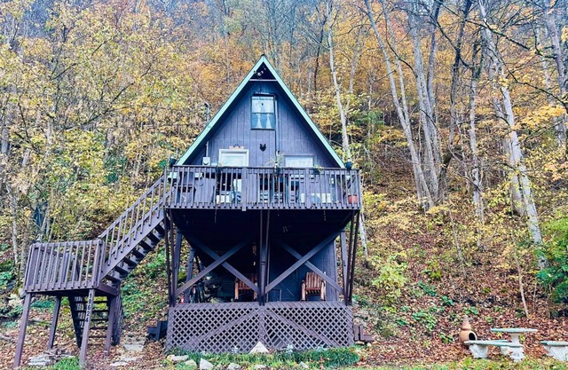 Secluded cabin on the Clinch river, kayaks & canoes available! Sleeps 6. WIFI.