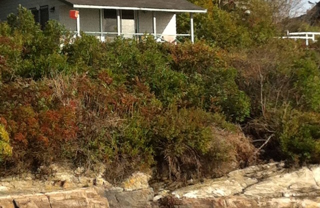 Secluded Casco Bay Waterfront Cabin