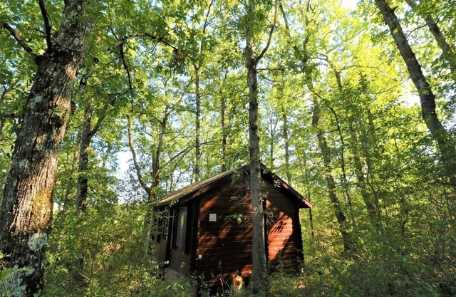 Secluded Forest Tiny House with Views