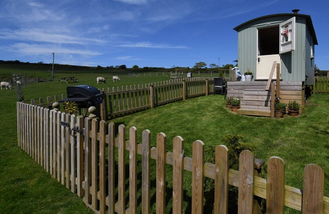 Secluded, peaceful large Shepherd hut on 14 acre smallholding.