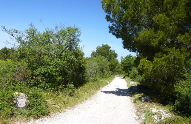 Secluded property, views 100 Km, 4-acre park, 17m long pool