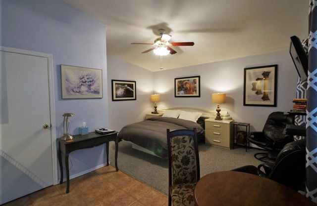 Secluded, Sunny Studio. Fully Private: entrance, bath, bedroom, kitchen & Patio