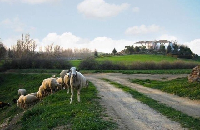 Self catering Cortijo La Gineta for 6 people
