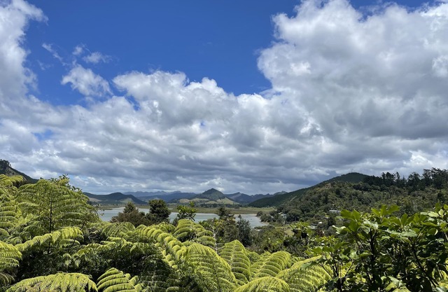 Serene Opoutere Bush Haven (family and pet-friendly)
