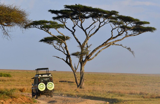 Serengeti Wild Camps