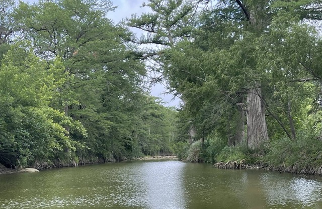 Serenity House, 6 acres on the Medina River