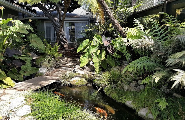 SERENITY IN CDM: Private Cottage & Gardens on XL Lot