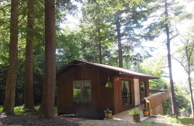 Serenity - Private, secluded cabin-excellant scenic view/sunset, hiking, pond
