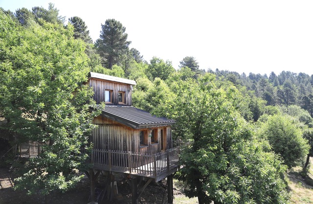 SHACK ON PILOTIS IN CEVENNES