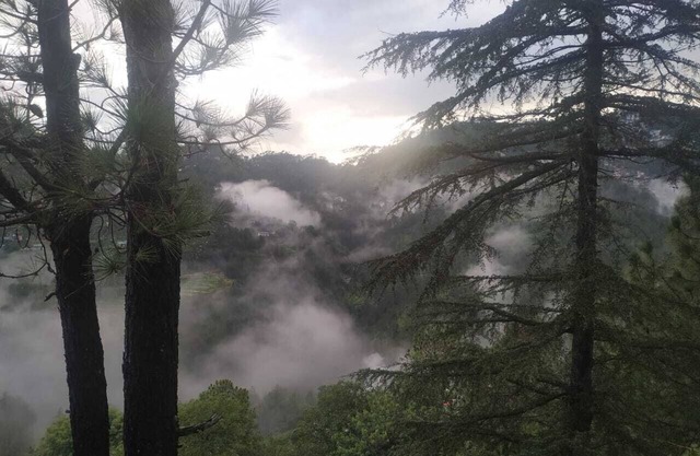 Shantivan.The hidden heaven