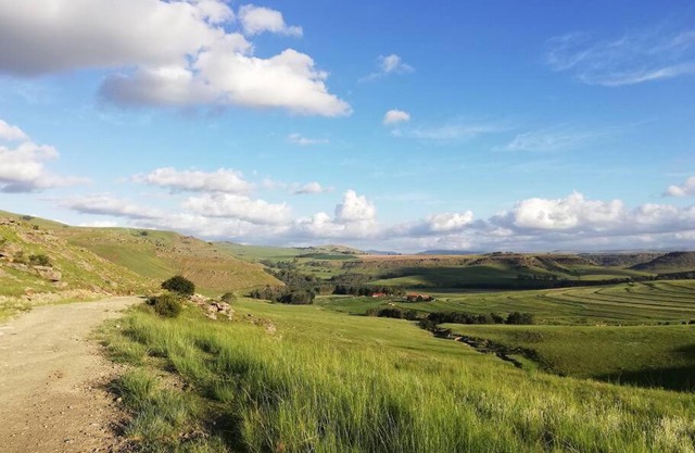 Sheeprun Farmstay