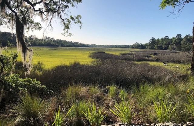 Shellman Bluff GA & Harris Neck 0.5mi. Bird Nest Your perfect Nest & Marsh View