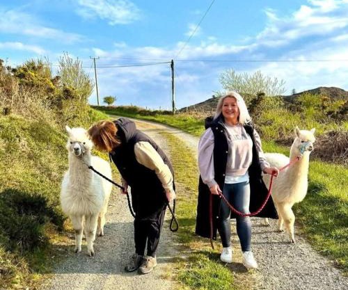 Short & Sweet Alpaca Retreat