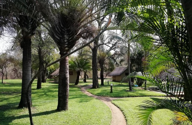 Shumba Safari Bush Camp