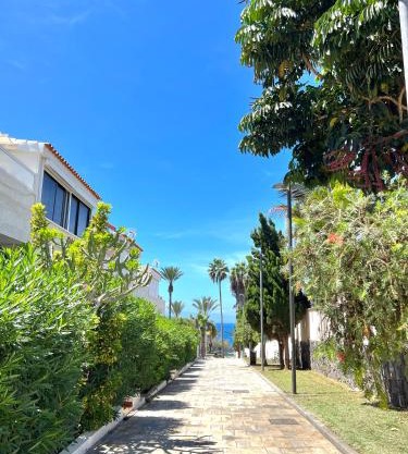 Silver & Brownie, Veracruz Sunset