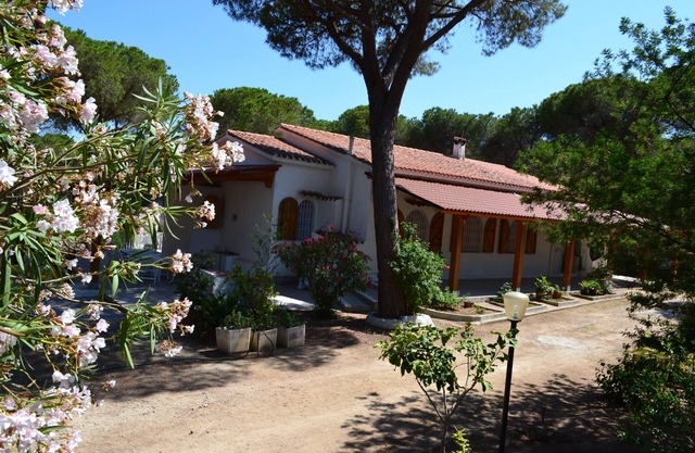 Single villa nestled in pine forest a few steps from the beach in Santa Margherita
