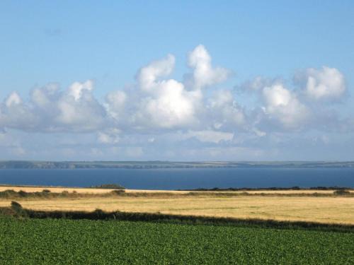Skomer View Solva