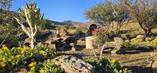 Skoorsteenberg Farm Camping & Accommodation