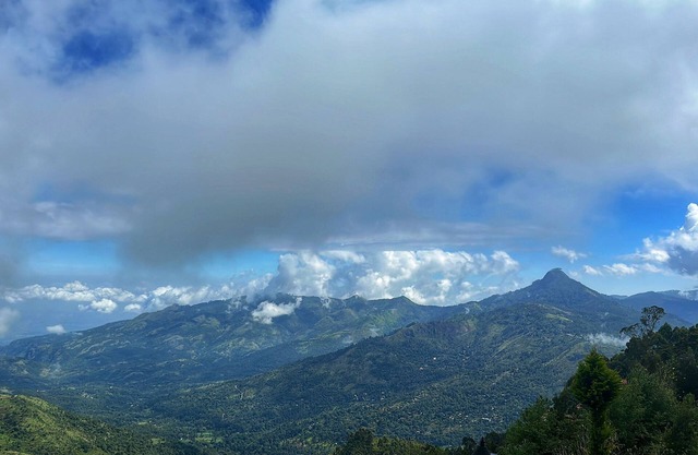 Sky House: Cliff Villa in Kodaikanal. Pet Friendly!