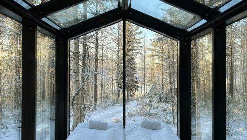 Sky Lodging ~ sleeping under the stars