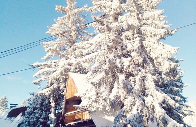 Sky Max Jahorina - One Bedroom Apartment with Altitude Loft