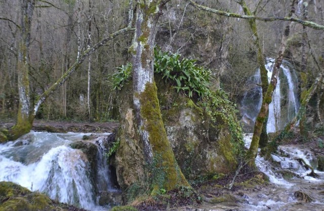 Small 18m2 chalet just a stone's throw from the waterfalls, in a relaxing location!