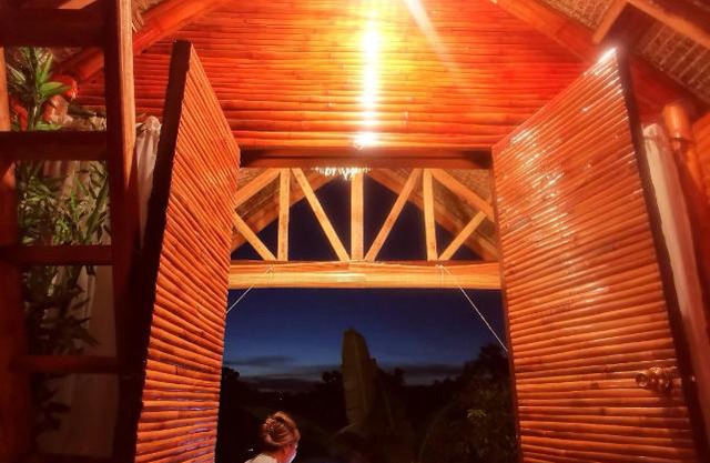 SMALL CABIN IN THE SOUTH