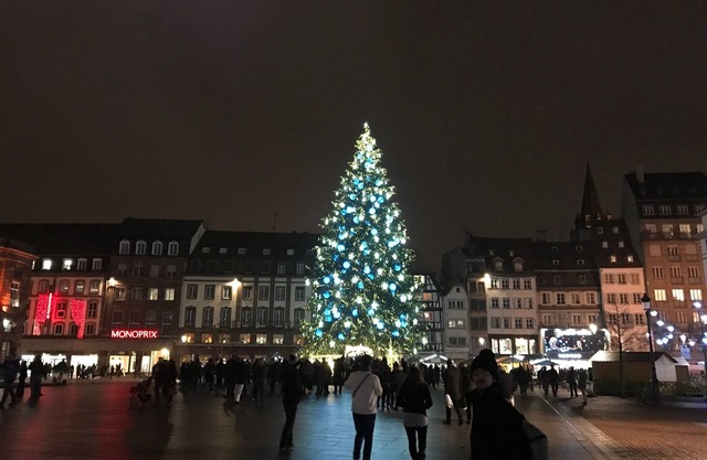 Small cozy nest in the heart of Strasbourg!