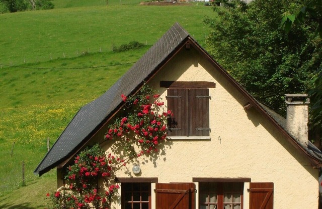 Small house,
