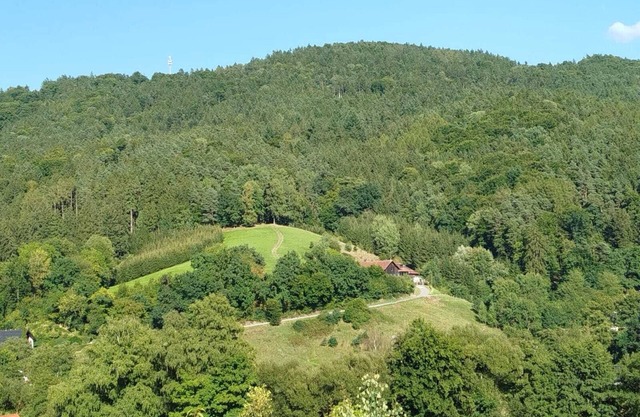 Small mountain farm in the Bavarian Forest. Beautiful terrace with fireplace