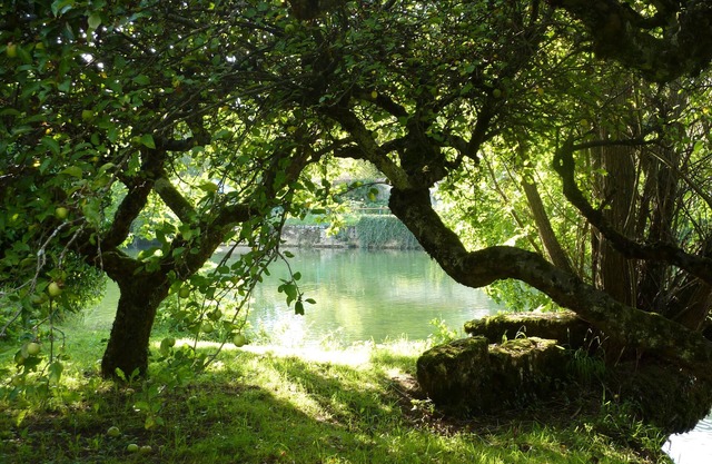 Small, quiet gite close to the center