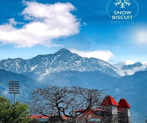Snow Biscuit Villa