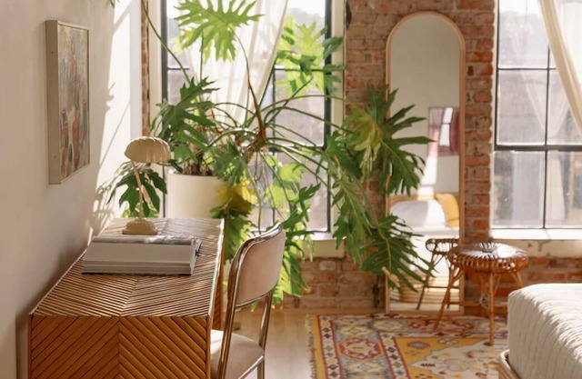 Soft & cozy environment in KC's best boutique hotel!