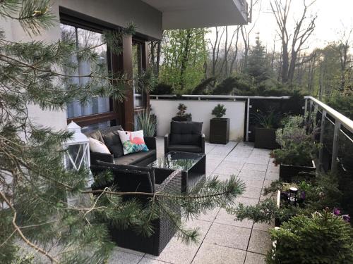 Solankowe Zacisze Botanica Inowrocław