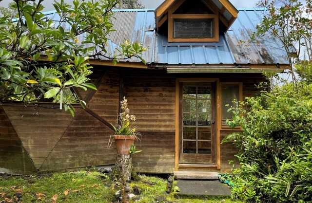 Solar powered bohemian loft cottage with birds, lizards, and frogs