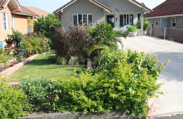 Soleil de la Palms