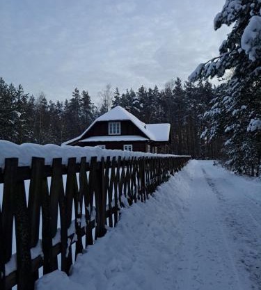 Sosnowy Domek