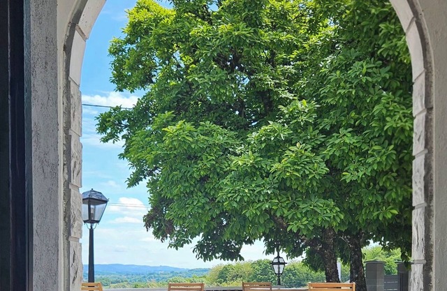 Source de la Vallée