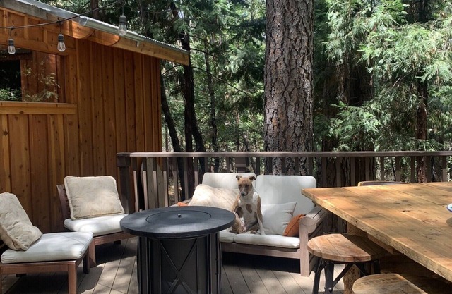Spa getaway forest cottage