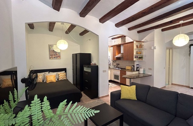 Spacious 1850 Raval 46m Loft. Ideal for Couples and Digital Nomads. Pet-Friendly