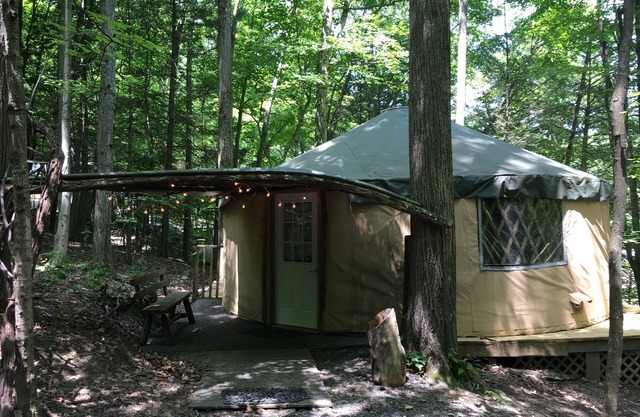 Spacious, airy yurt is delightful for glamping in comfort!