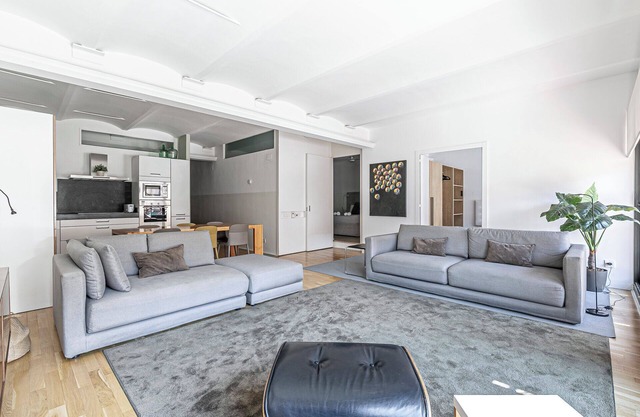 spacious and bright apartment next to Arc del Triomf