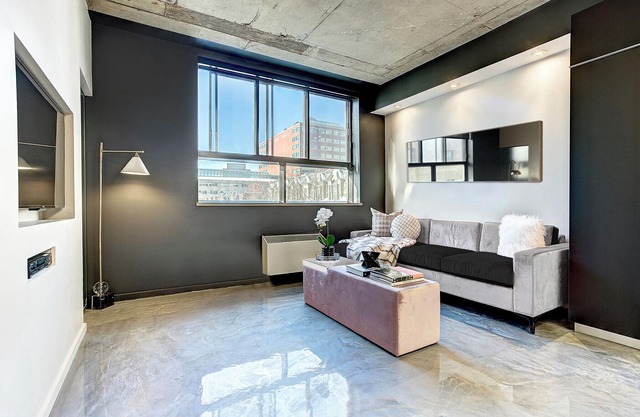 Spacious Apartment near McGill