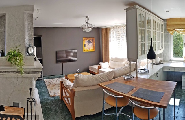 Spacious apartment with fireplace in the middle of the town