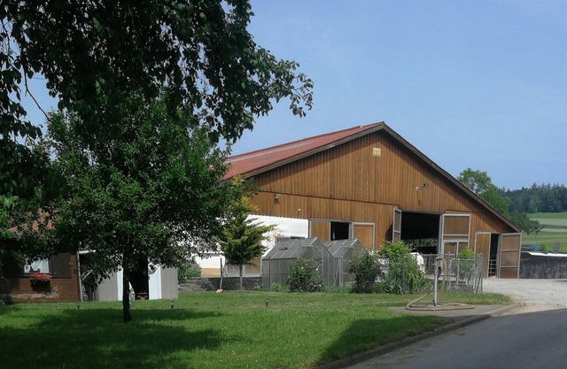 Spacious holiday apartment with a view of the farm