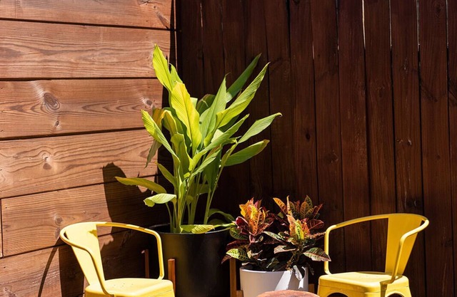 Spacious Home on Harmony Street Uptown in Irish Channel, 4Bedroom 3Bathroom