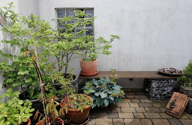 Spacious house with parking lot and green courtyard
